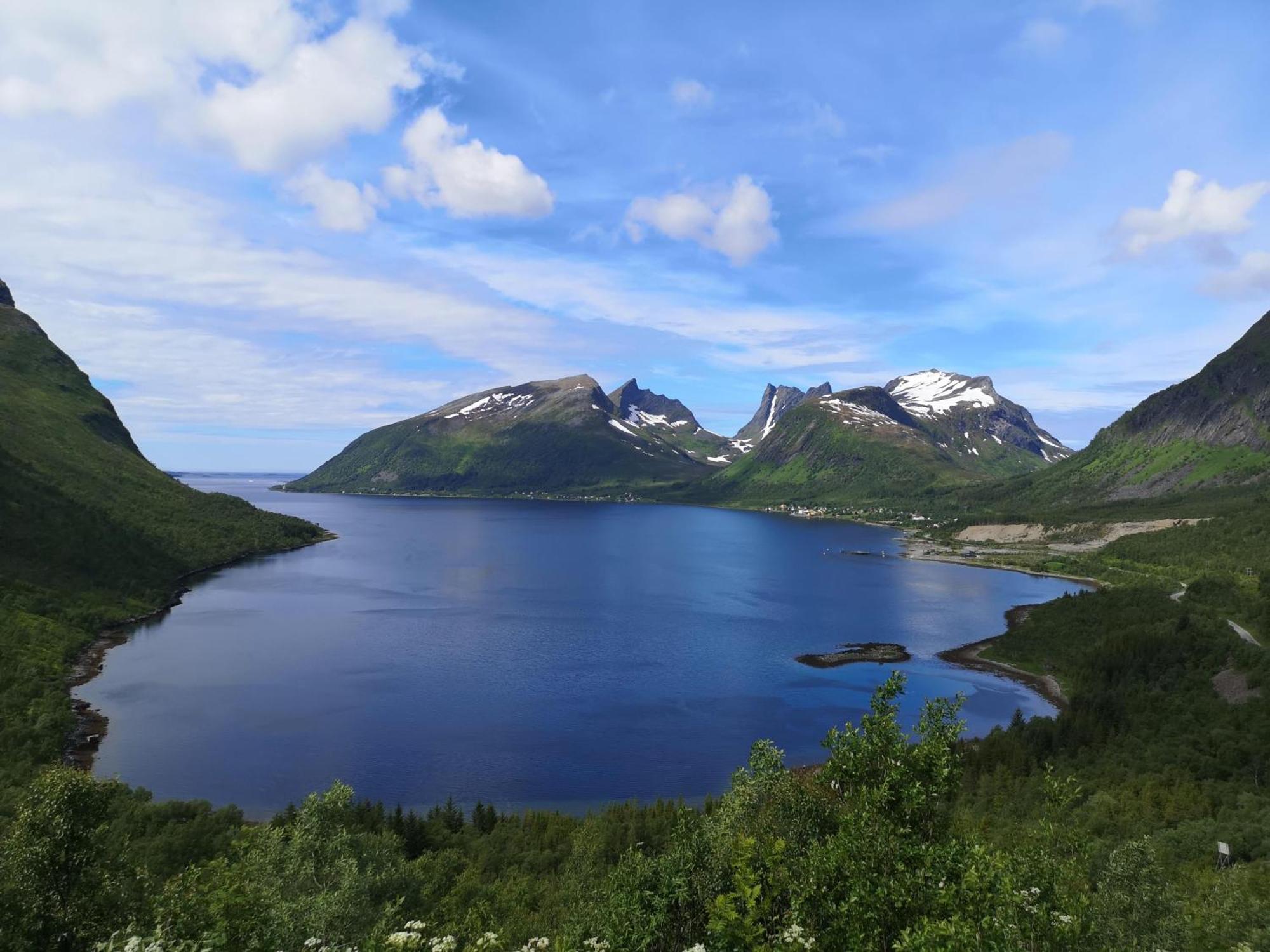 Ferrytale, Cozy, Spacious House On Senja Gryllefjord Eksteriør bilde