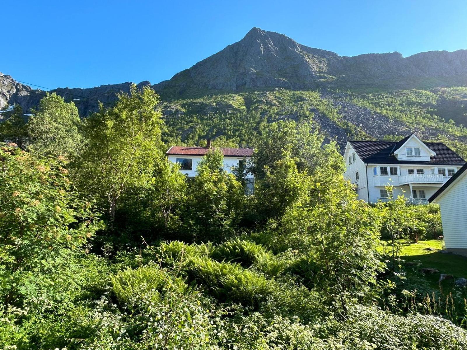 Ferrytale, Cozy, Spacious House On Senja Gryllefjord Eksteriør bilde